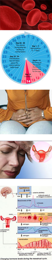 menstrual disorder